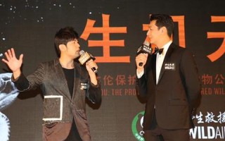 网站做广告联盟，流量与月收入的奥秘