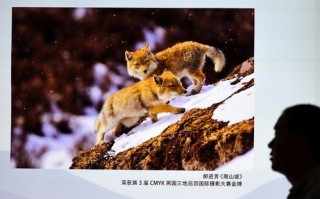 草钻联盟，探索自然与科技的和谐共生