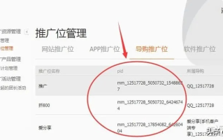 淘宝客淘宝联盟推广内容设置，选URL还是下面那个？