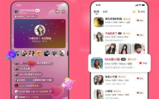 夜缘交友联盟，在虚拟与现实的交织中寻觅真挚友情