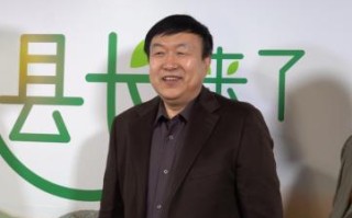 淘宝联盟淘宝客推广实战指南，卖家如何高效利用这一工具提升销量