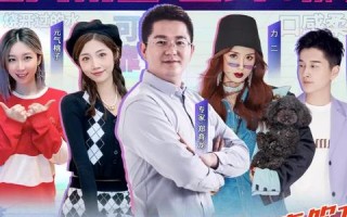 系统广告，精准触达与高效转化的数字营销新纪元