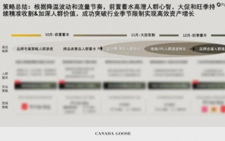 菠萝广告联盟，打造高效广告平台，助力品牌实现营销新突破