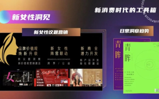 爱迪女性广告联盟，重塑女性消费版图，引领数字时代新风尚
