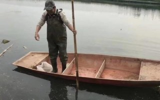 淘宝联盟结算预估收入和成交预估收入差异解析