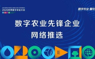 易麒广告联盟，重塑数字营销新生态的先锋力量