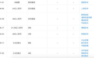闪电联盟，重塑未来商业版图的新势力
