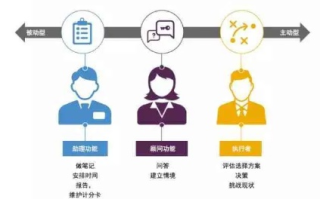 精准领域，解锁个人与职业发展的新钥匙