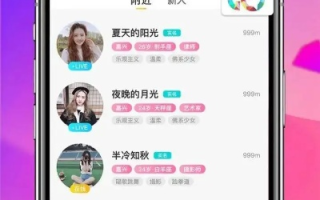 夜缘交友联盟，探索虚拟社交的新纪元