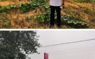 98K联盟，重塑音乐产业的新势力