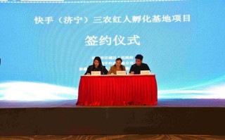 656交友联盟，跨越数字鸿沟，构建真实社交新生态