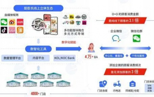 三倍日付广告联盟，重塑数字营销新生态的共赢模式