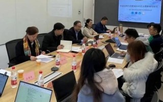 阿里联盟，重塑电商生态，引领数字商业新未来