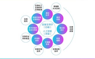 大宇智慧联盟，重塑未来教育的蓝图