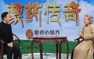 中搜广告联盟，重塑数字营销新生态，引领企业高效增长