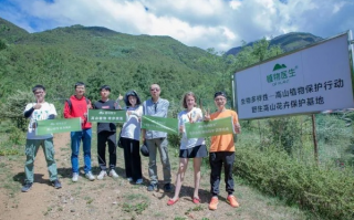 草钻联盟，探索自然与科技的和谐共生