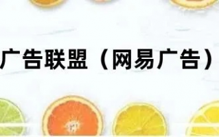 163弹窗广告联盟，精准营销的新篇章