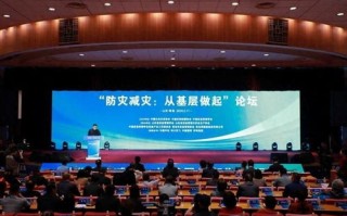 草根联盟，重塑社会基层治理的新力量