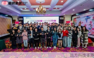 芬桃联盟，探索数字时代的创意合作新纪元