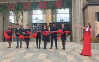 风车广告联盟，打造高效广告推广，引领数字营销新风尚