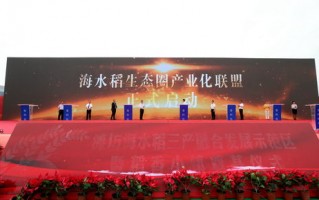 企业广告联盟，重塑品牌生态，共筑商业新纪元