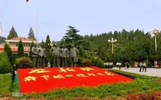 绑定了顶级域名的常来网免费空间能投放广告联盟在广告吗？
