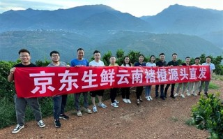 两个牛联盟，重塑农业合作新生态