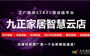 新势力网盟，重塑互联网生态，引领数字时代新潮流