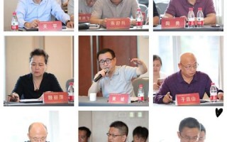 重塑国内网络广告新生态，策略、挑战与未来趋势