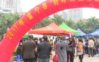 268网络广告联盟，打造高效广告投放，助力企业精准营销