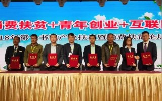 11平台联盟，重塑电商格局，引领数字消费新时代