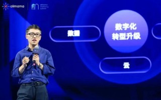 阿里妈妈广告，重塑数字营销生态，引领品牌新增长