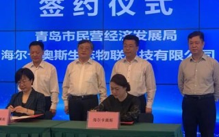 网站联盟，打造共赢的互联网生态