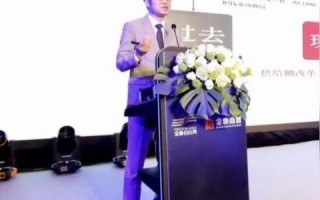 揭秘Top5流量联盟，互联网营销新势力的崛起与影响