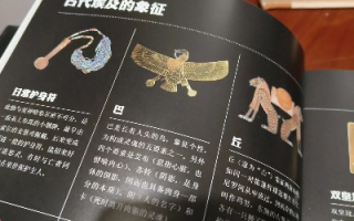 符号的力量，解码文化、历史与人类的深层联系