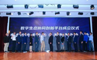 5466统一联盟，重塑数字时代合作新生态