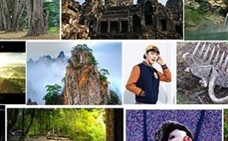 色彩搭配在网络广告设计中的重要性及原则