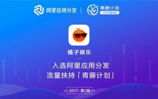揭秘CPV广告联盟，高效流量变现与精准营销的新纪元