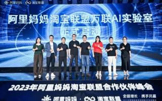 关于现在阿里妈妈问题的深度探讨，为何现在登录淘宝联盟阿里妈妈困难重重