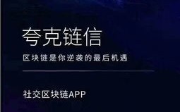 CPA97交友联盟，重塑数字时代下的社交新生态