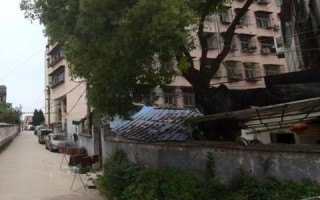八九广告联盟，打造高效广告合作新生态