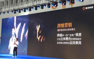 胖鸟科技广告联盟，重塑数字营销新生态的领航者