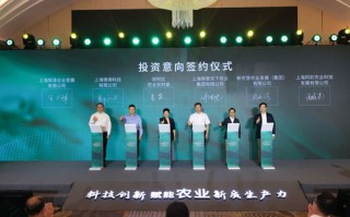墨禾传媒，创新引领，打造传媒新生态