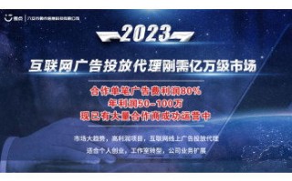 请问现在互联网媒体广告联盟有哪些好的呢？