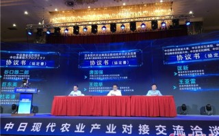 文古轩日付联盟，重塑传统艺术与现代支付的无缝对接
