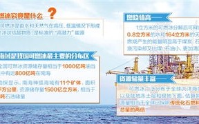 鲸鲨网盟，探索海洋生态与数字经济的交汇点