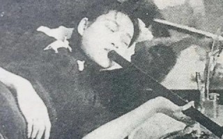 逍遥广告联盟，打造高效广告生态，引领数字营销新风尚