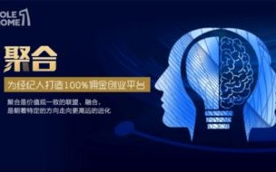 至尊广告联盟，打造高效营销，引领商业未来