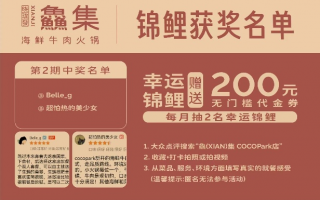 锦鲤网盟，打造你的幸运抽奖新体验