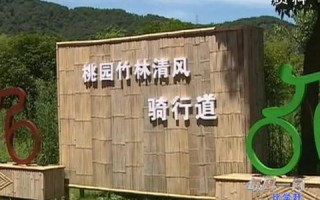 网页游戏推广联盟，打造多元化推广策略，引领游戏市场新潮流